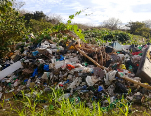 At the NCA We Are Working on the Technical Closure of the Nosara Garbage Dump, What does this mean?