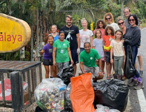 All of Nosara Comes Together to Clean Up The Community